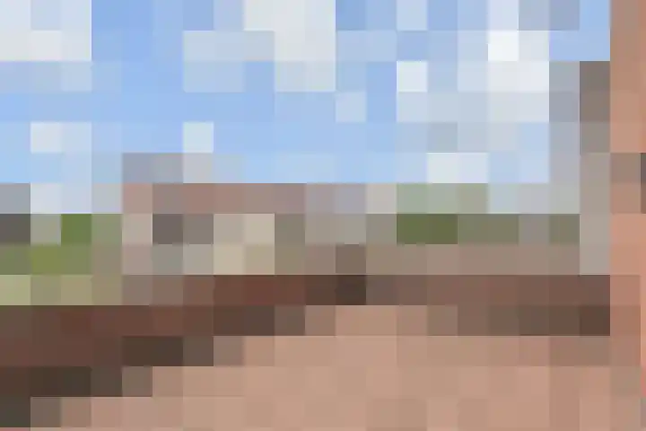 Kleine Molen 4 Bleiswijk thumbnail 45