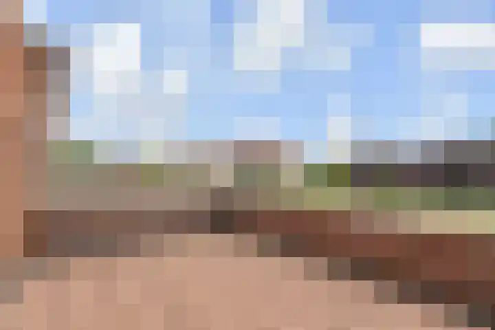 Kleine Molen 4 Bleiswijk thumbnail 46