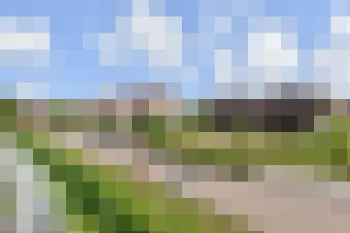Kleine Molen 4 Bleiswijk thumbnail 47