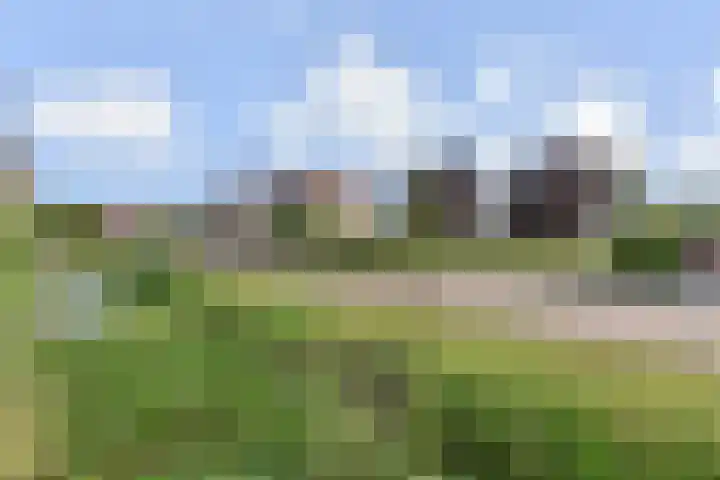 Kleine Molen 4 Bleiswijk thumbnail 48