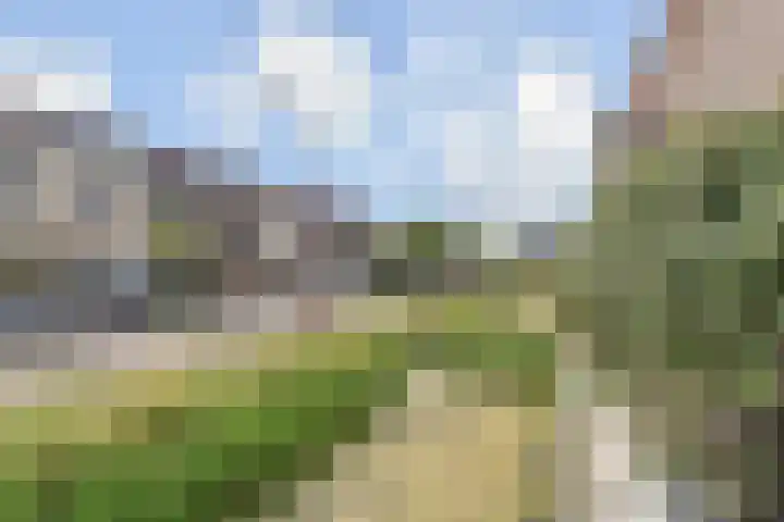 Kleine Molen 4 Bleiswijk thumbnail 49
