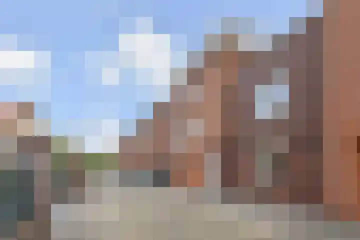 Kleine Molen 4 Bleiswijk thumbnail 5