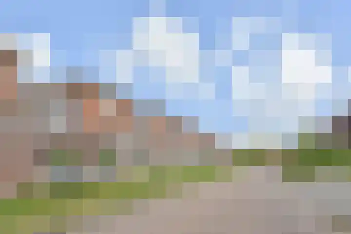 Kleine Molen 4 Bleiswijk thumbnail 50