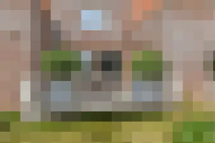Kleine Molen 4 Bleiswijk thumbnail 51
