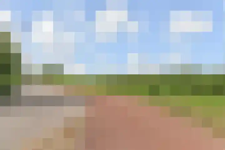 Kleine Molen 4 Bleiswijk thumbnail 54
