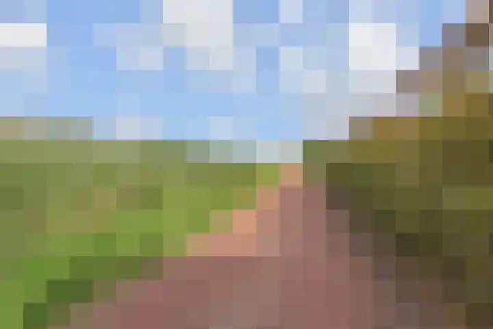 Kleine Molen 4 Bleiswijk thumbnail 55