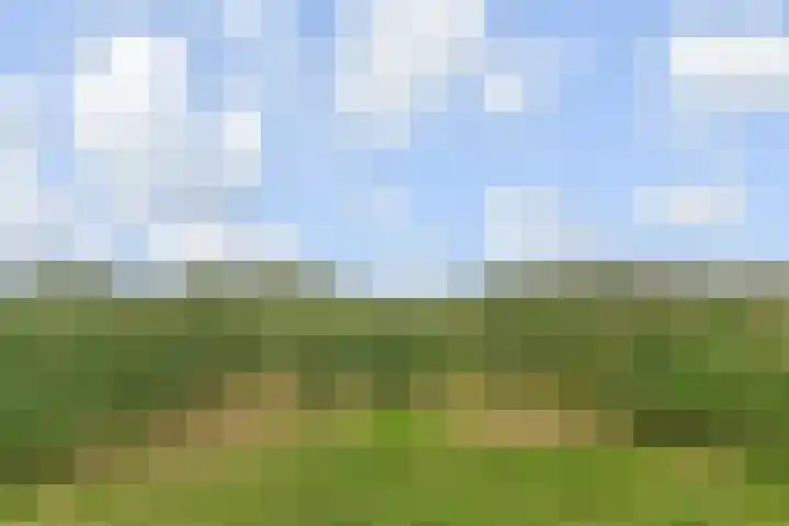 Kleine Molen 4 Bleiswijk thumbnail 57