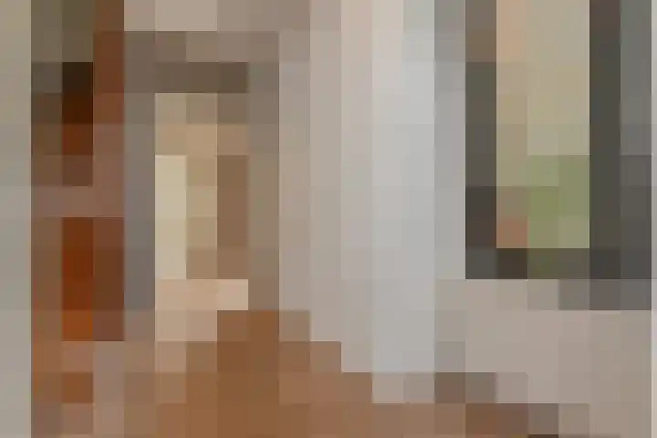 Kleine Molen 4 Bleiswijk thumbnail 7