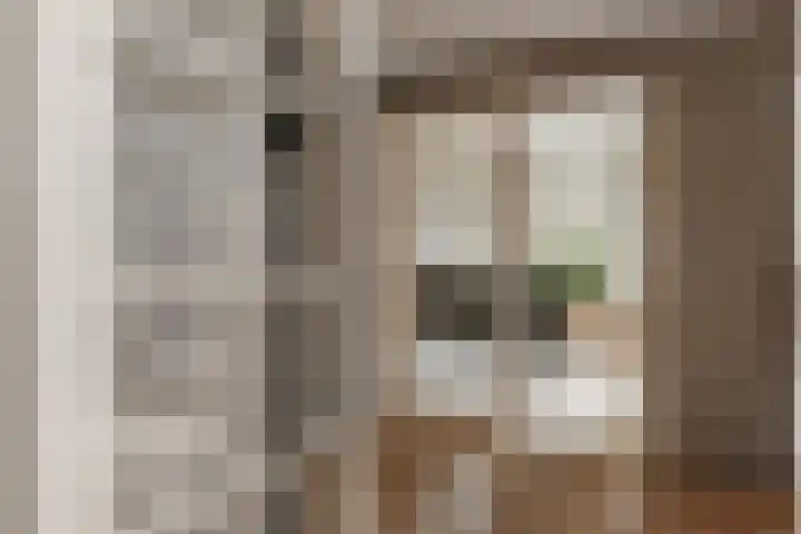 Kleine Molen 4 Bleiswijk thumbnail 8