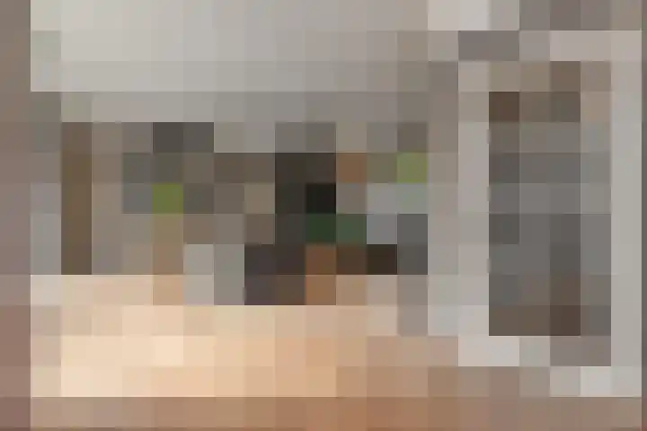 Kleine Molen 4 Bleiswijk thumbnail 9