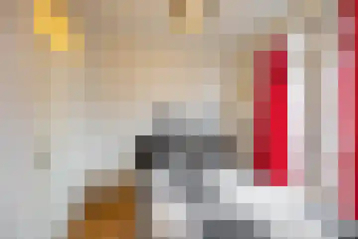 Kleine Molenstraat 3 b Groningen thumbnail 21