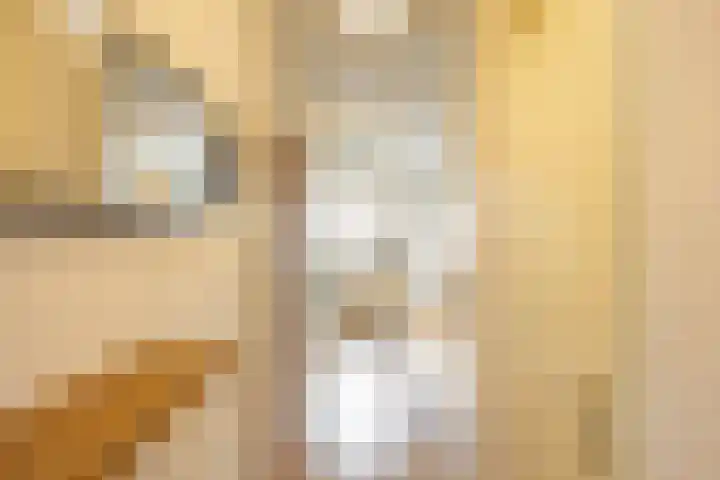 Kleine Molenstraat 3 b Groningen thumbnail 8