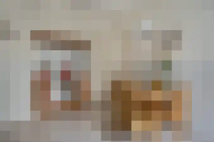 Kleine Molenstraat 5 Sint-Michielsgestel thumbnail 10