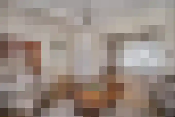 Kleine Molenstraat 5 Sint-Michielsgestel thumbnail 12