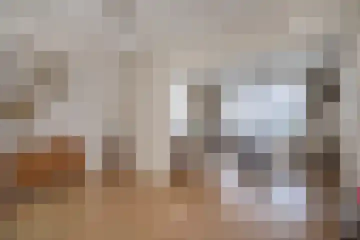 Kleine Molenstraat 5 Sint-Michielsgestel thumbnail 13