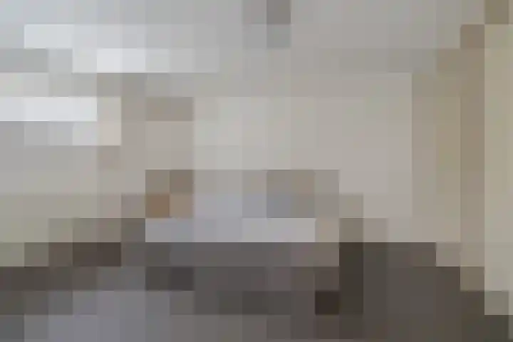 Kleine Molenstraat 5 Sint-Michielsgestel thumbnail 15