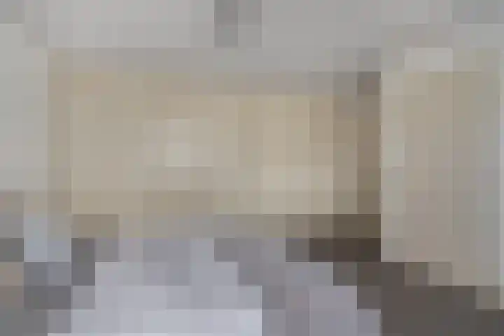 Kleine Molenstraat 5 Sint-Michielsgestel thumbnail 16