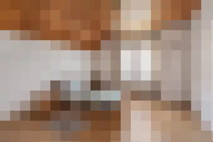 Kleine Molenstraat 5 Sint-Michielsgestel thumbnail 26