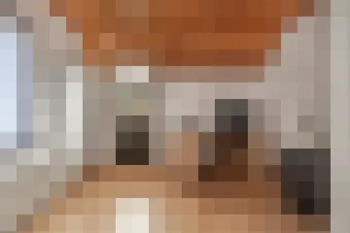 Kleine Molenstraat 5 Sint-Michielsgestel thumbnail 27