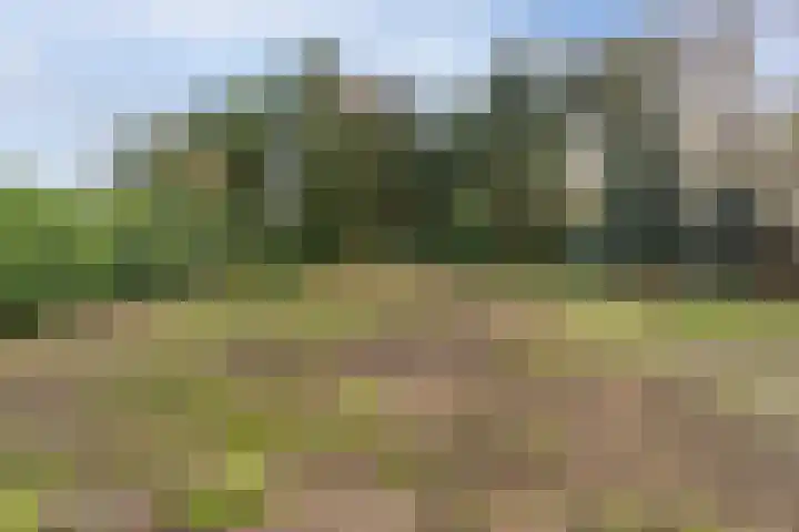 Kleine Molenstraat 5 Sint-Michielsgestel thumbnail 4