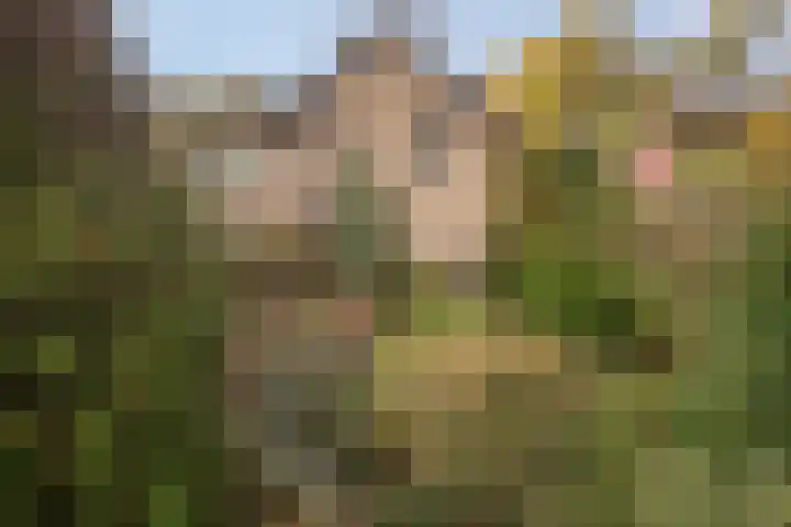Kleine Molenstraat 5 Sint-Michielsgestel thumbnail 43