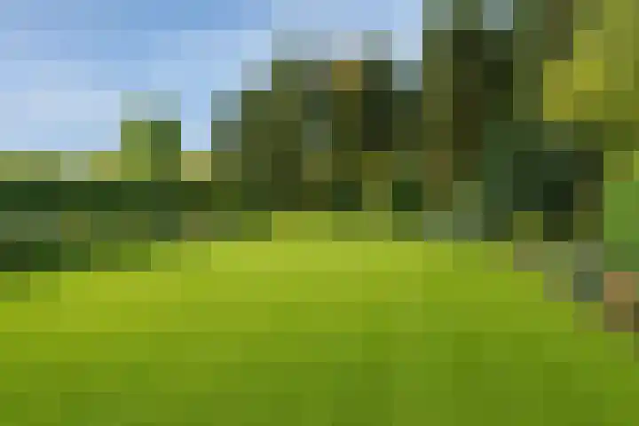 Kleine Molenstraat 5 Sint-Michielsgestel thumbnail 5