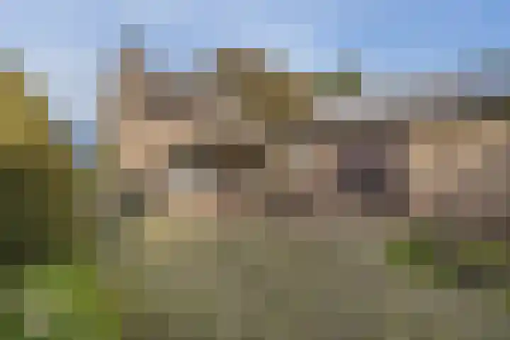 Kleine Molenstraat 5 Sint-Michielsgestel thumbnail 6