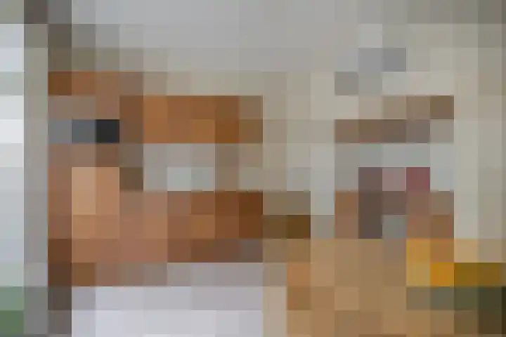 Kleine Molenstraat 5 Sint-Michielsgestel thumbnail 7