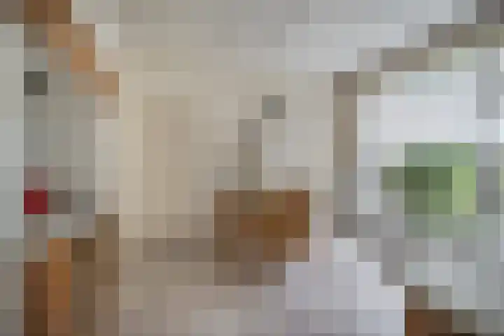 Kleine Molenstraat 5 Sint-Michielsgestel thumbnail 9