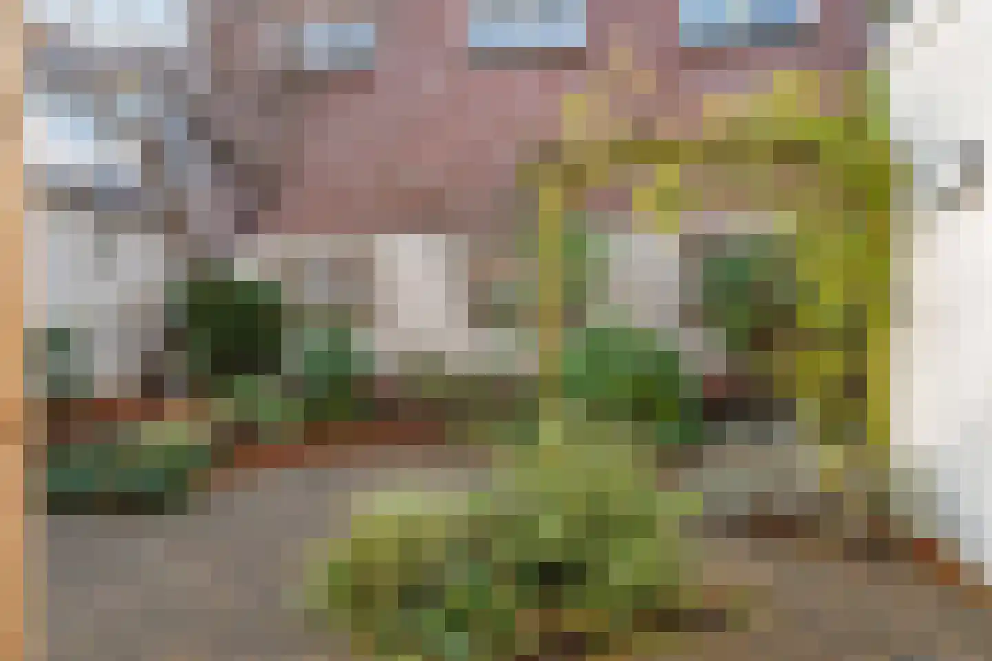 Kleine Noord 27 Hoorn thumbnail 39