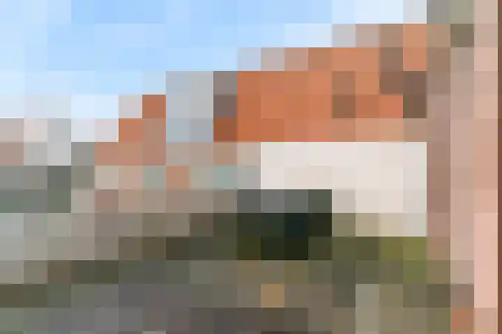 Kleine Noord 48 A Hoorn thumbnail 15