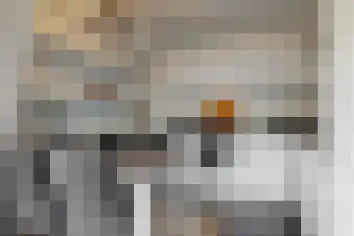 Kleine Noord 83 Hoorn thumbnail 9