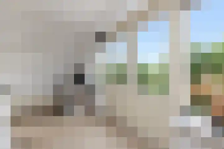 Kleine Noord 85 Hoorn thumbnail 11