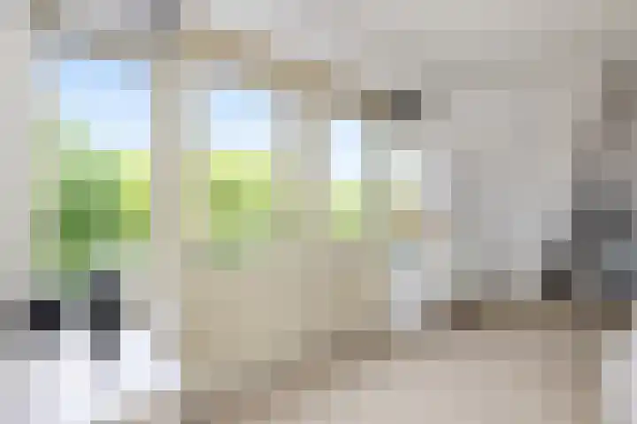 Kleine Noord 85 Hoorn thumbnail 9