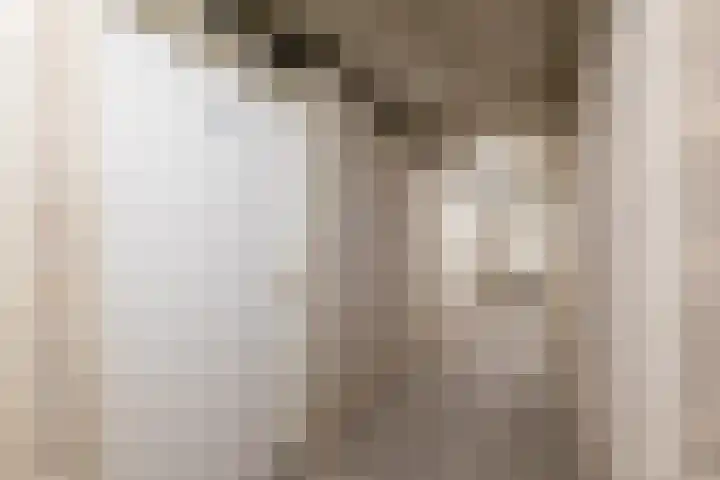 Kleine Oever 19 Meppel thumbnail 22