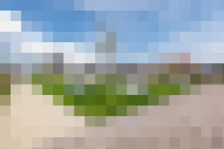 Kleine Oever 19 Meppel thumbnail 26
