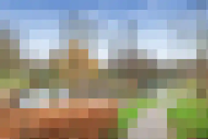 Kleine Oost 33 Hoorn thumbnail 34