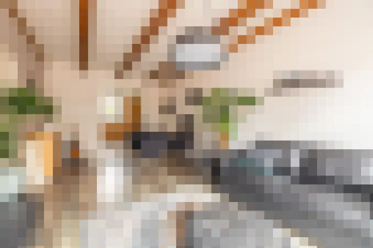 Kleine Oosterstraat 18 Dokkum thumbnail 13