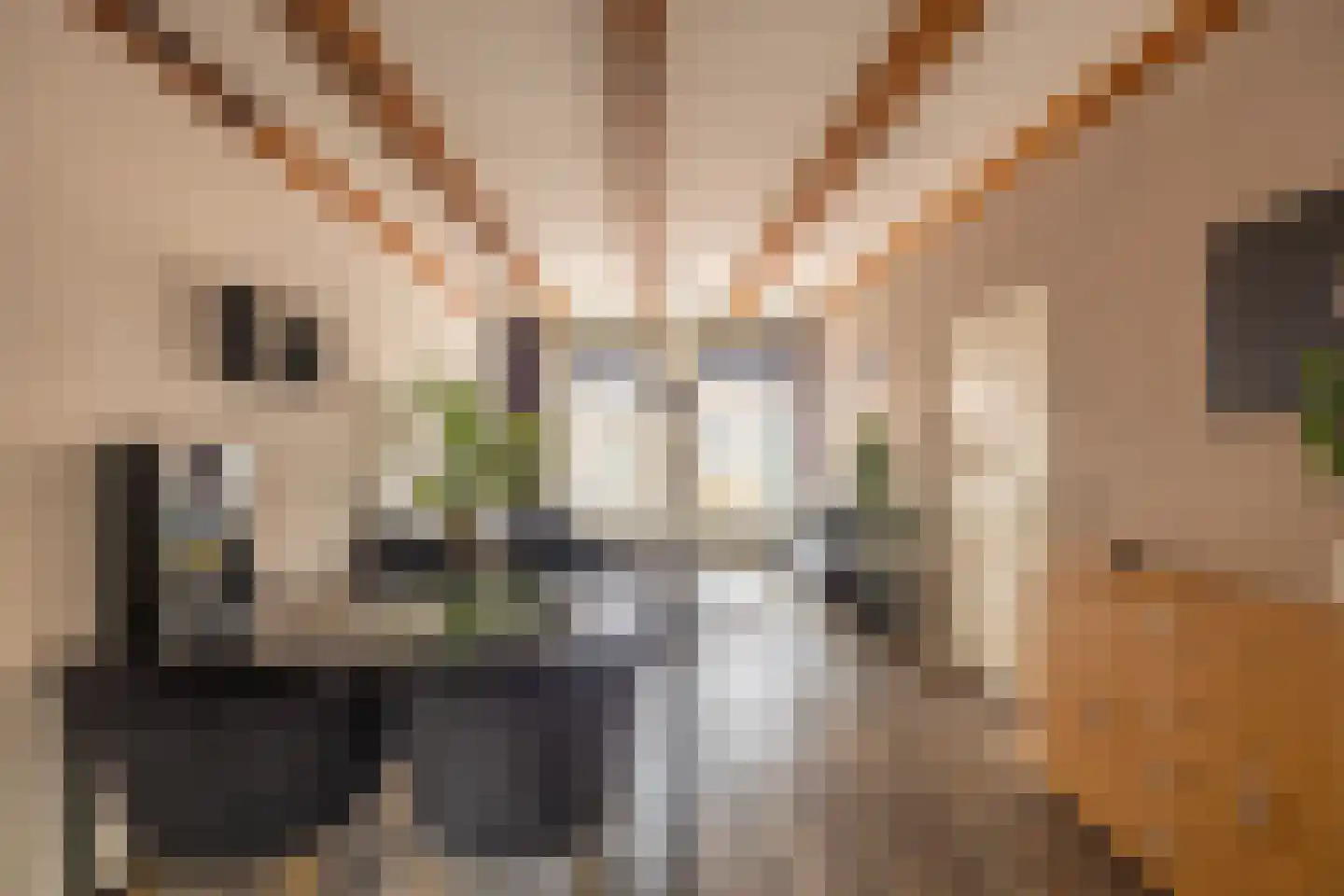 Kleine Oosterstraat 18 Dokkum thumbnail 14