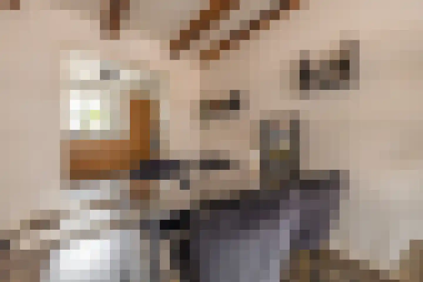Kleine Oosterstraat 18 Dokkum thumbnail 15