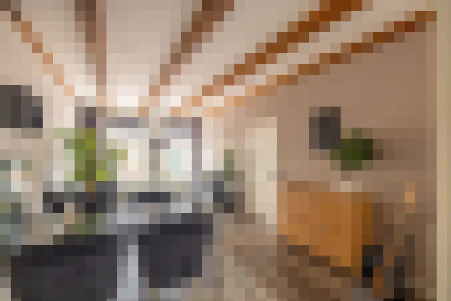 Kleine Oosterstraat 18 Dokkum thumbnail 19