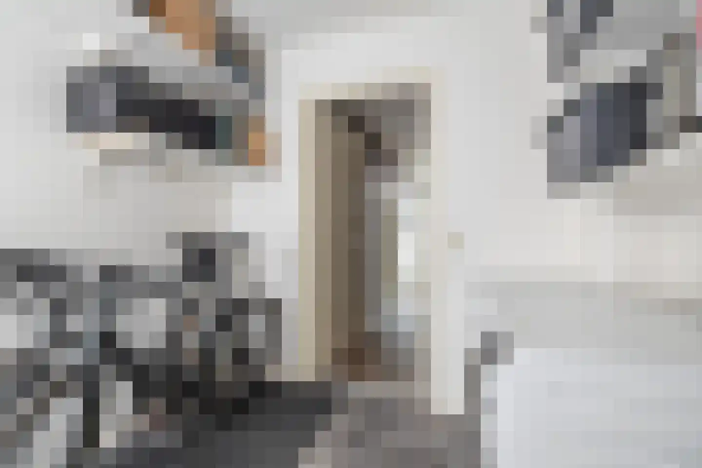 Kleine Oosterstraat 18 Dokkum thumbnail 32