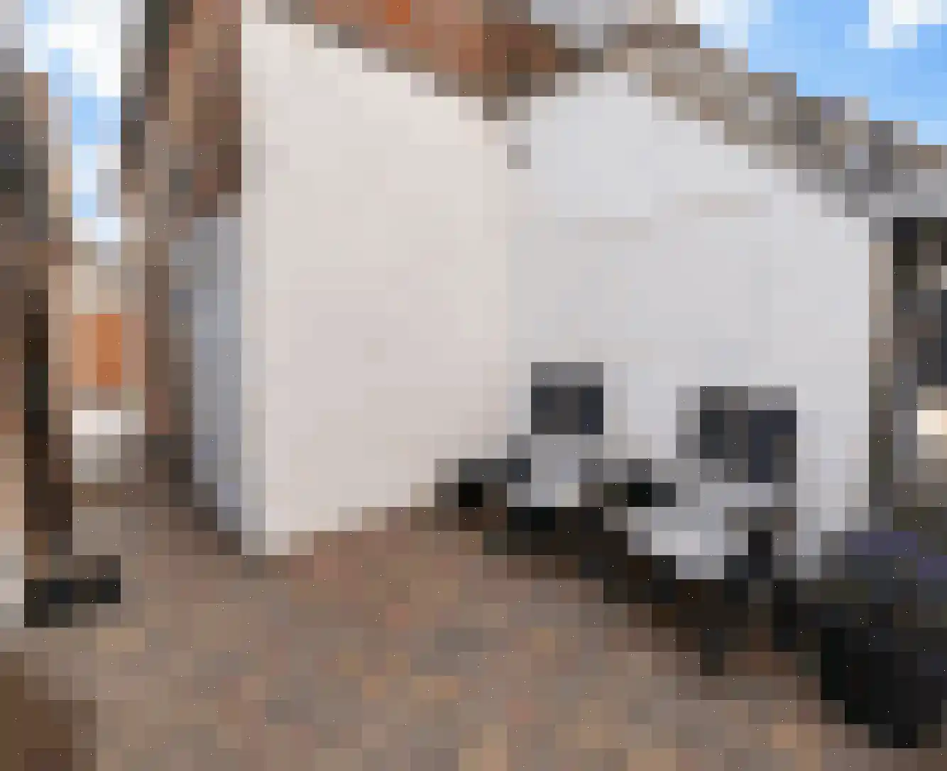 Kleine Oosterstraat 18 Dokkum thumbnail 35