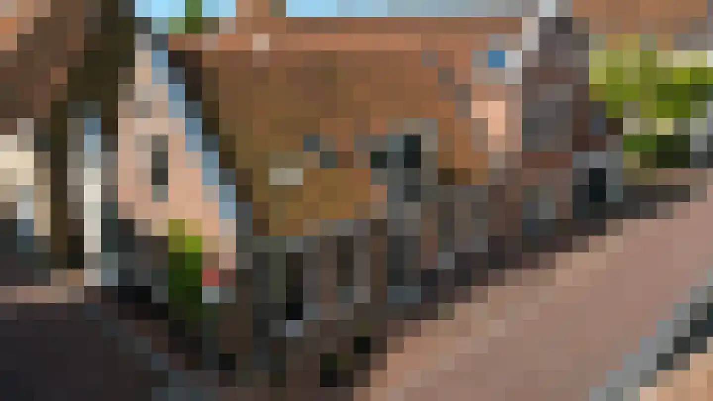 Kleine Oosterstraat 18 Dokkum thumbnail 39