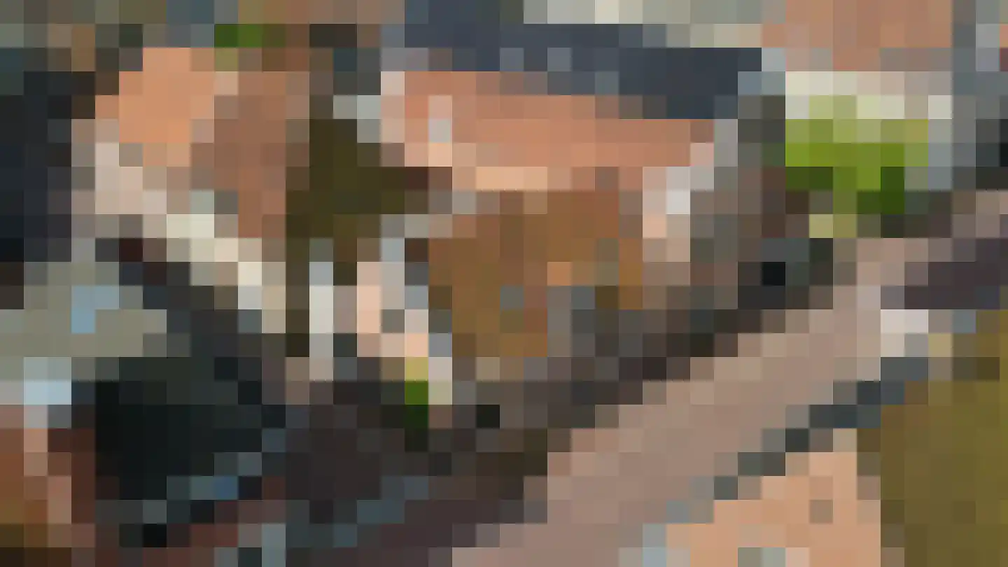 Kleine Oosterstraat 18 Dokkum thumbnail 41