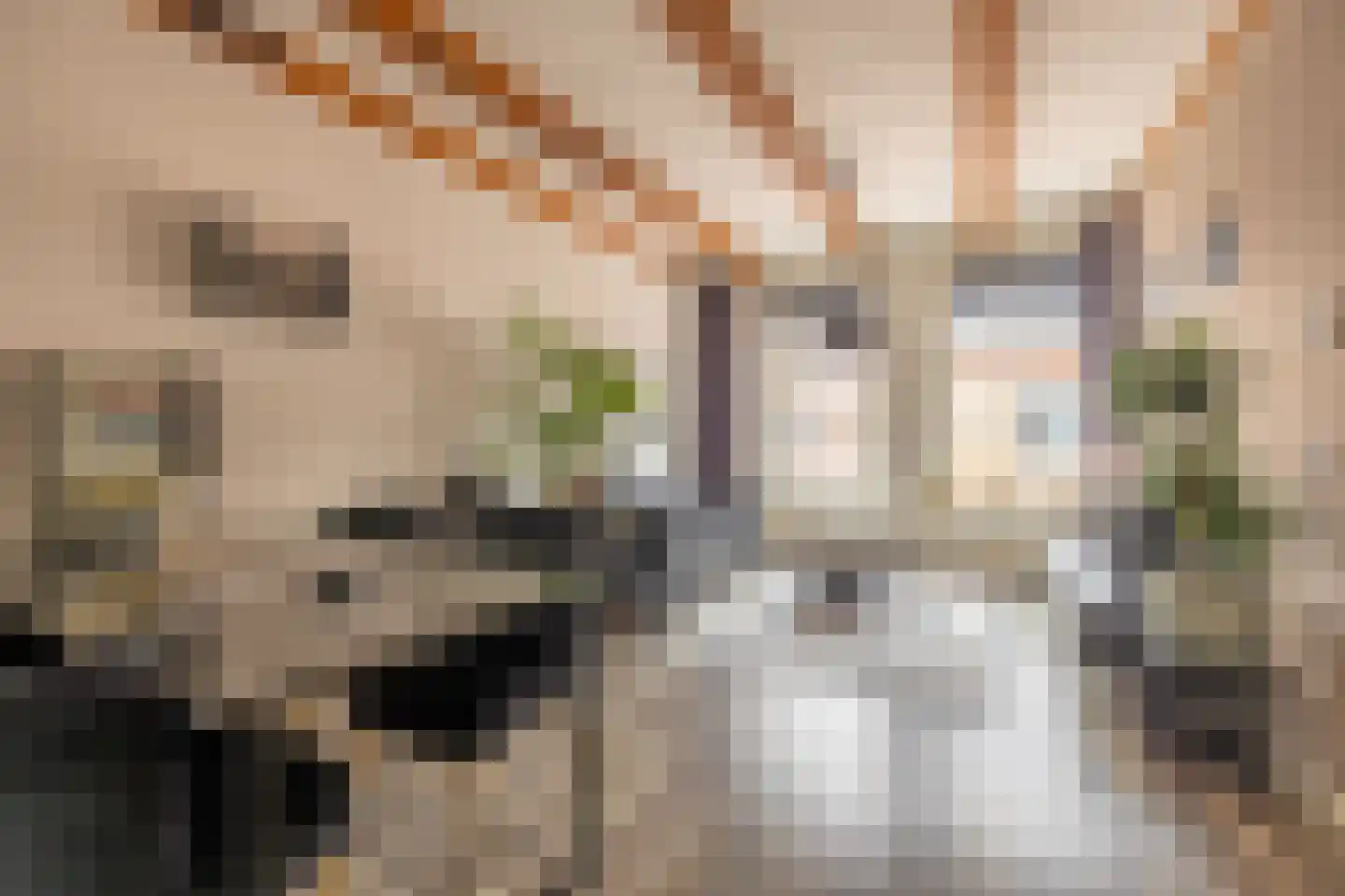 Kleine Oosterstraat 18 Dokkum thumbnail 9