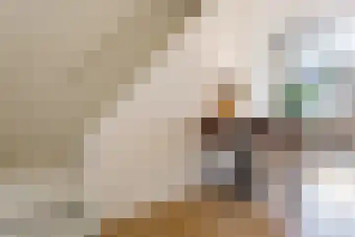 Kleine Oosterwijck 2 Harderwijk thumbnail 11