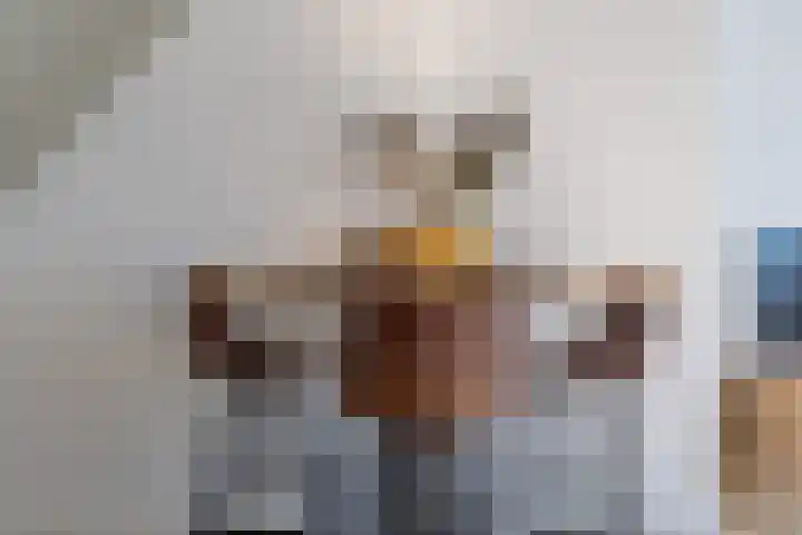 Kleine Oosterwijck 2 Harderwijk thumbnail 12