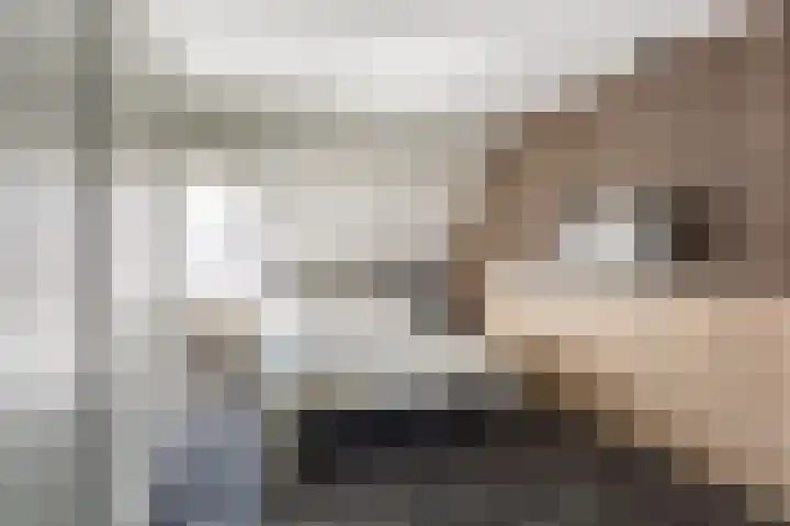 Kleine Oosterwijck 2 Harderwijk thumbnail 20