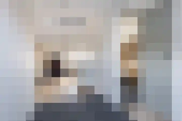 Kleine Oosterwijck 2 Harderwijk thumbnail 26